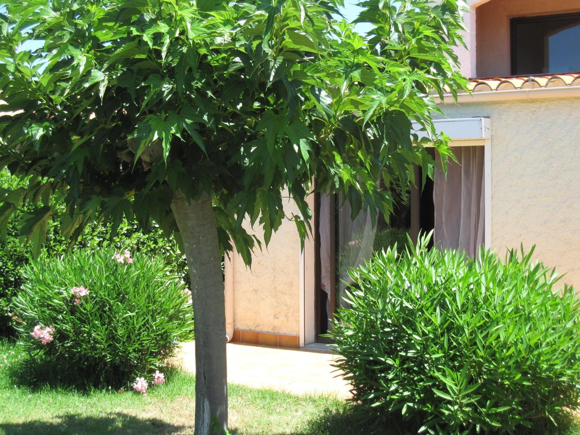 Residence Les Bell'Ombres Cargese Exterior photo